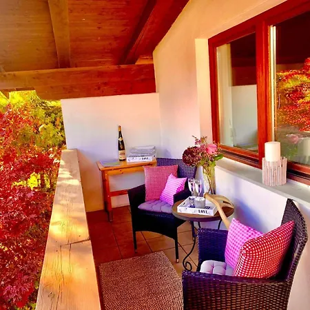 Fleckalm * 蒂罗尔-基希贝格