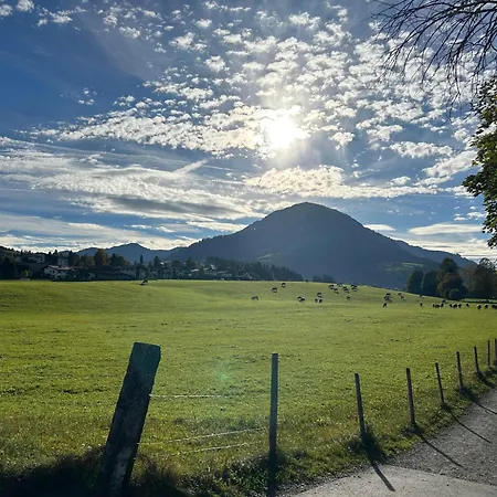 Fleckalm 티롤 키르흐베르크