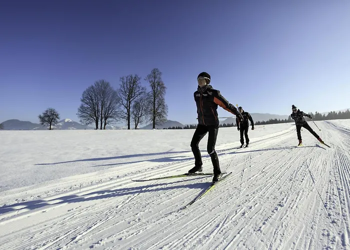 Fleckalm * 티롤 키르흐베르크