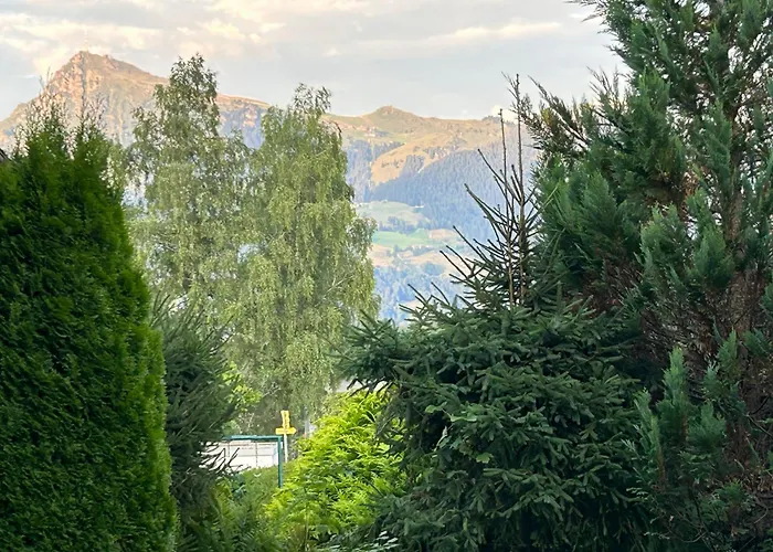 Fleckalm * Kirchberg in Tirol