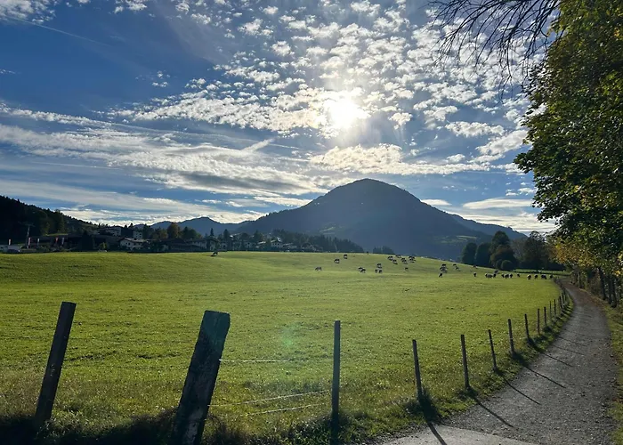 Fleckalm 티롤 키르흐베르크