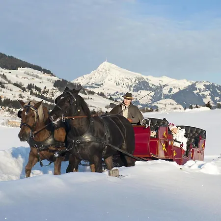 Fleckalm Prázdninový dům Kirchberg in Tirol