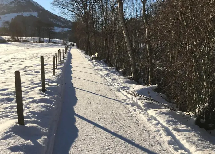 Fleckalm Holiday home Kirchberg in Tirol